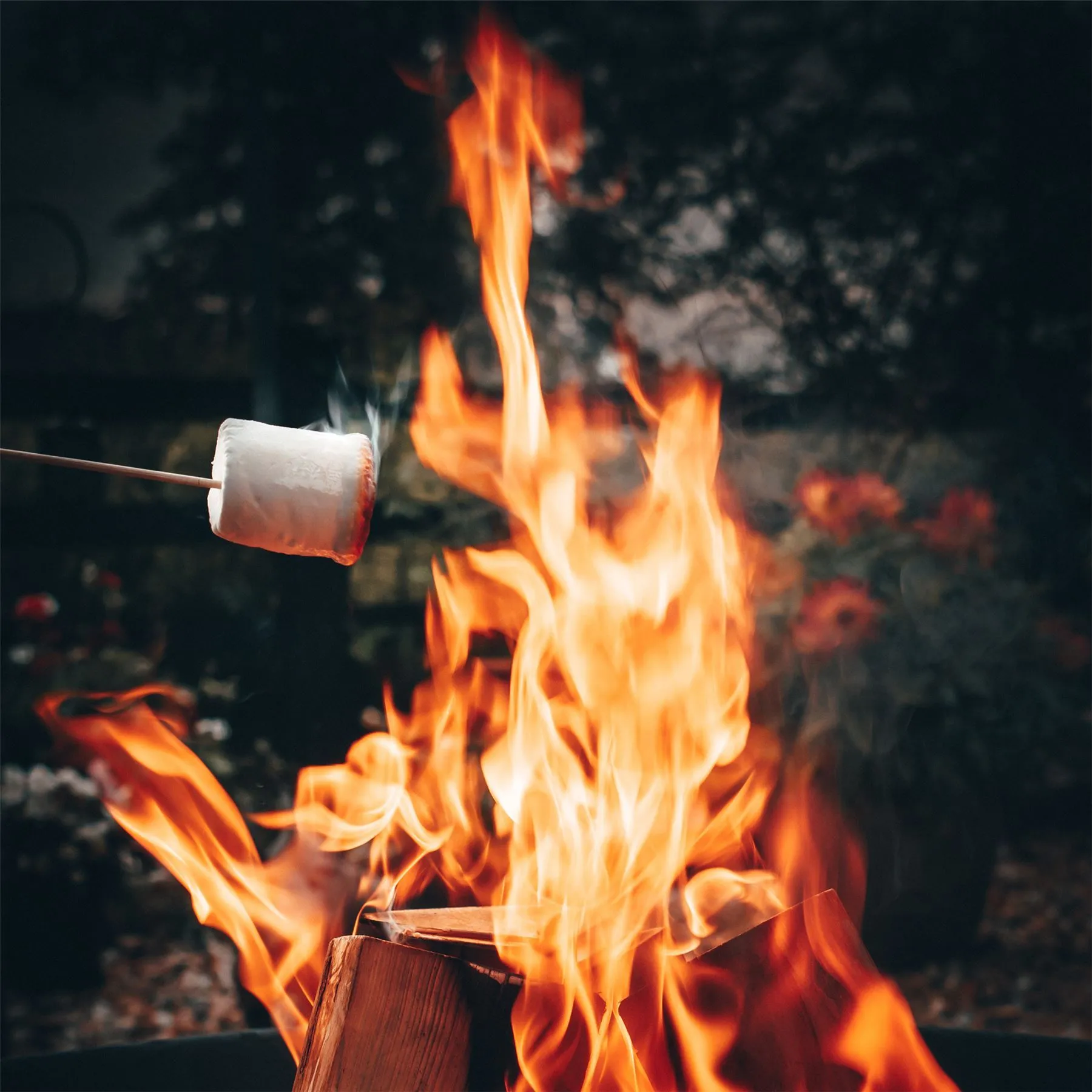 100cm Cast Iron Fire Pit - By Harbour Housewares