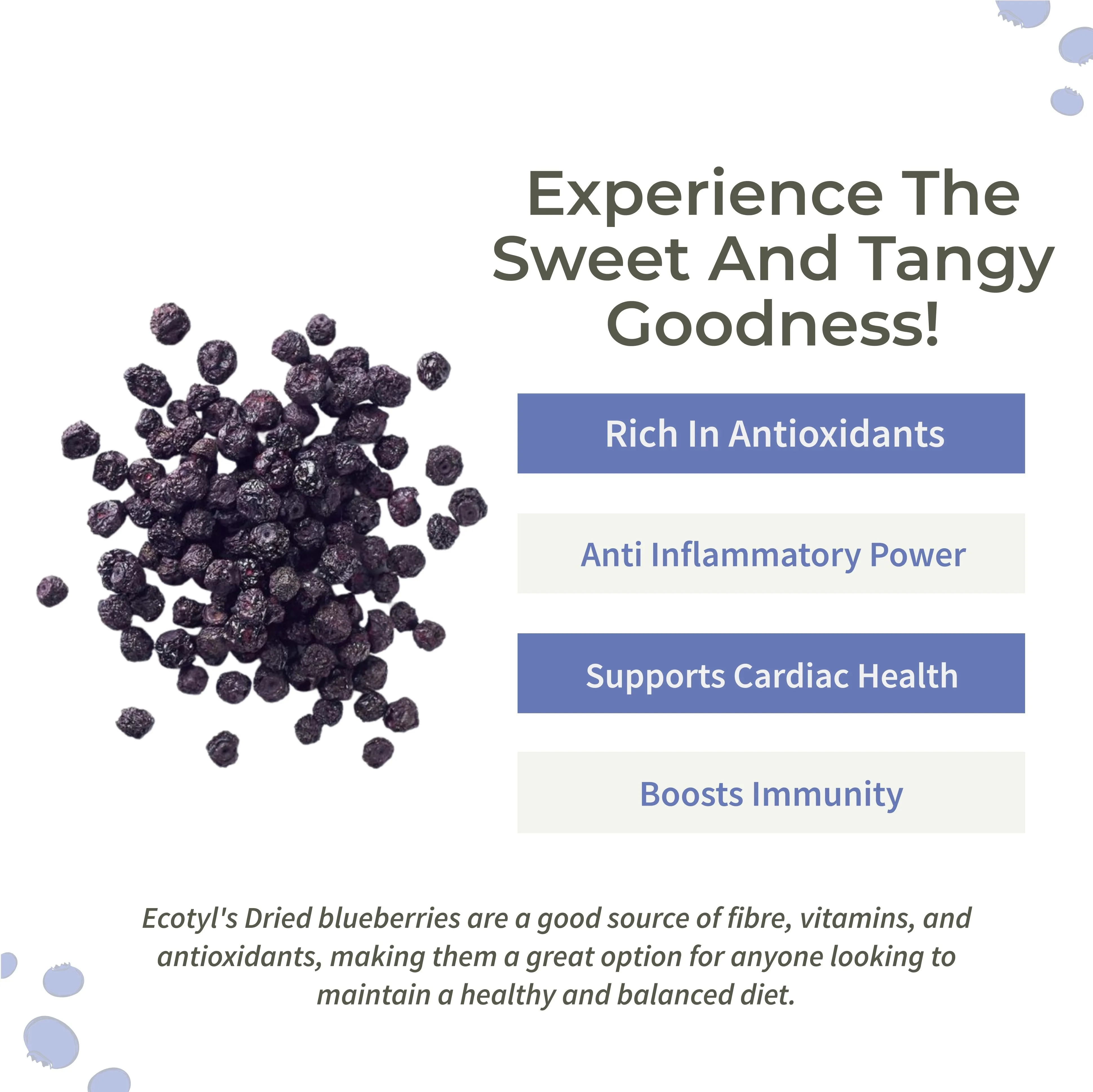 Dried Blueberries Whole Dried Fruit Healthy Snack