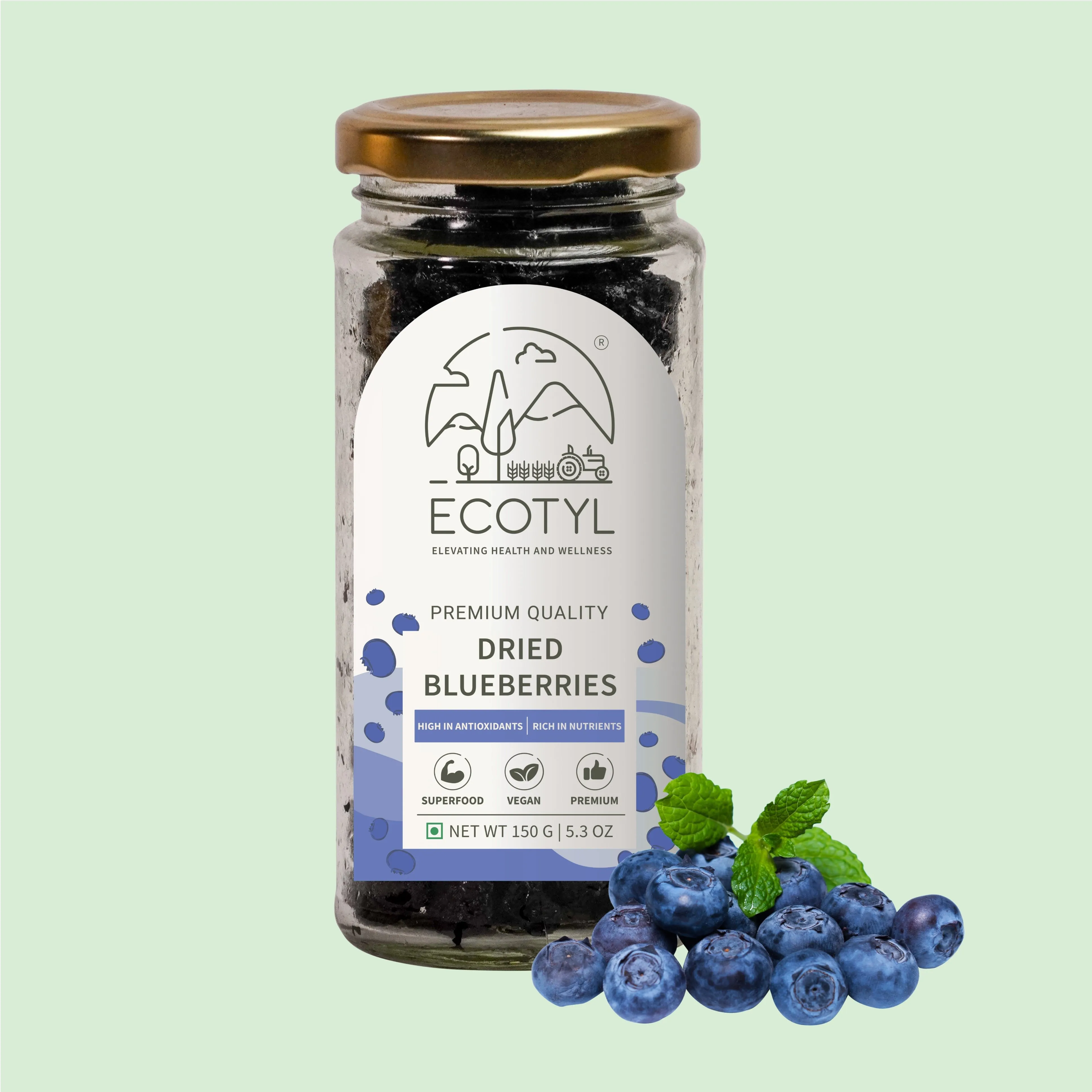 Dried Blueberries Whole Dried Fruit Healthy Snack